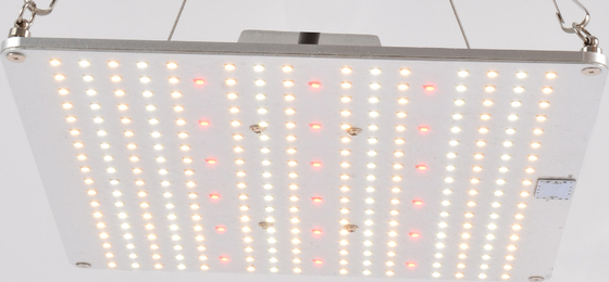 2.7umol UV LED Grow Lights 120W  Professional full spectrum lm301B led quantum board  for indoor greenhouse lighting