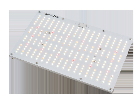 Full Spectrum 2.7umol/J  UV LED Grow Lights 120W   Waterproof  LM301B LED Quantum Panel Board