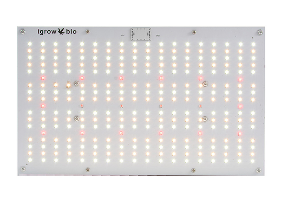 High PPFD CE IP65 Dimmable LED Grow Lights
